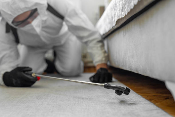 Professional Cockroach Control technician working in Palm River-Clair Mel, FL