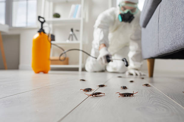 Trusted Cockroach Control service in Palm River-Clair Mel, FL - Nex Pest Control