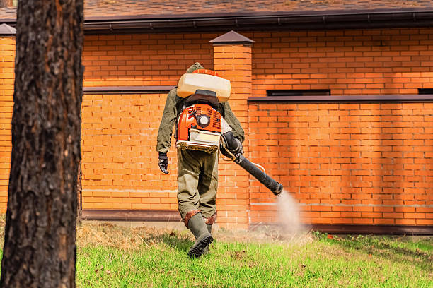 Trusted Termite Control service in Palm River-Clair Mel, FL - Nex Pest Control